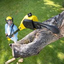 Best Lawn Pest Prevention  in Beattystown, NJ